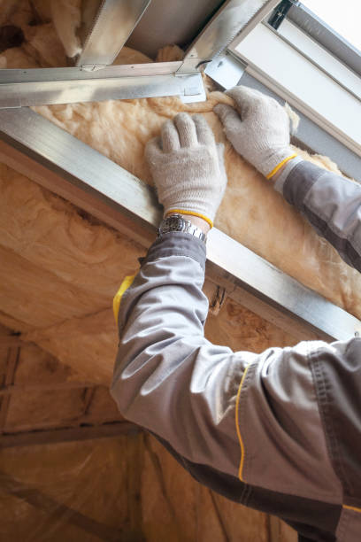 Best Insulation Maintenance and Repair in Sheffield, IA